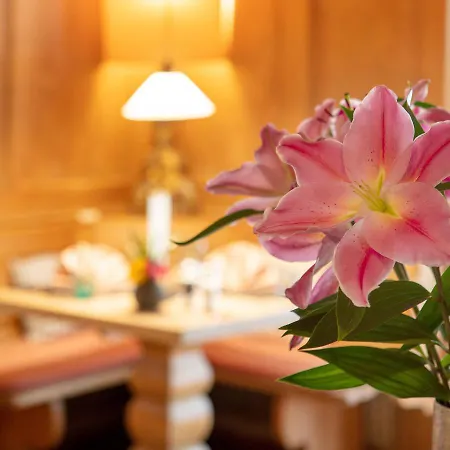 Hotel Ziegleder 4*