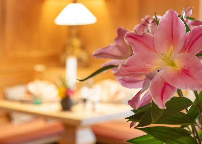 Hotel Ziegleder 4*